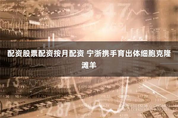 配资股票配资按月配资 宁浙携手育出体细胞克隆滩羊