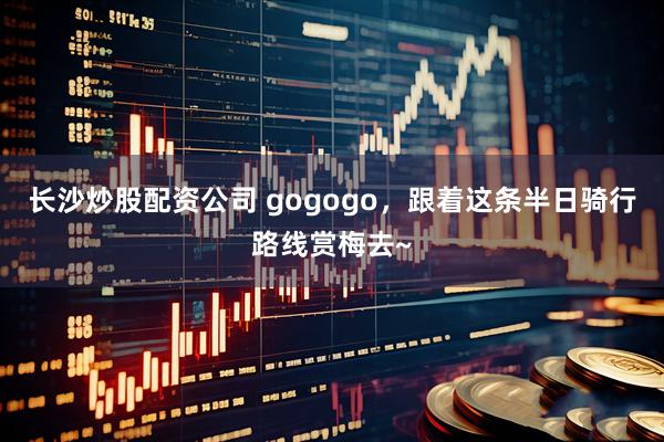 长沙炒股配资公司 gogogo，跟着这条半日骑行路线赏梅去~