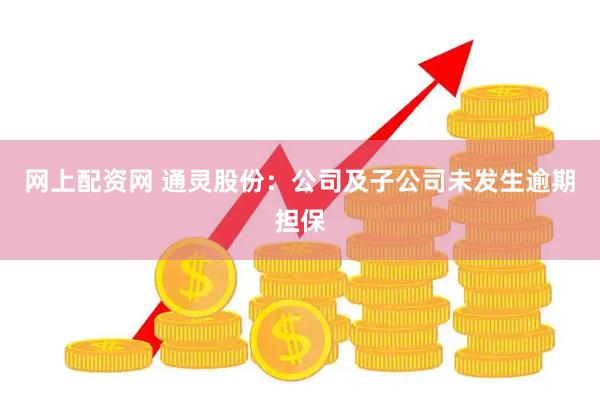 网上配资网 通灵股份：公司及子公司未发生逾期担保